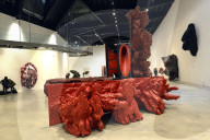 FEATURE - Anish Kapoor "fleischige" Ausstellung in Rom