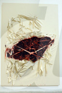 FEATURE - Anish Kapoor "fleischige" Ausstellung in Rom