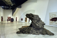 FEATURE - Anish Kapoor "fleischige" Ausstellung in Rom