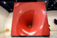 FEATURE - Anish Kapoor "fleischige" Ausstellung in Rom