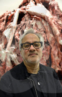 FEATURE - Anish Kapoor "fleischige" Ausstellung in Rom