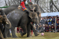 FEATURE - Elefanten-Festival in Nepal