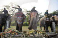 FEATURE - Elefanten-Festival in Nepal