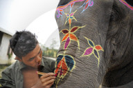 FEATURE - Spieglein Spieglein an der Wand wer ist der schönste Elefant im Nepal Land