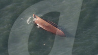 NEWS - Belgischer Fischkutter kentert im englischen Kanal