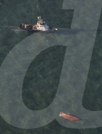 NEWS - Belgischer Fischkutter kentert im englischen Kanal