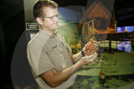 FEATURE - Inventur im Tropen-Aquarium im Hagenbeck Zoo