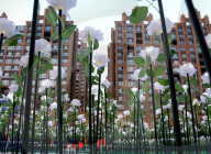 FEATURE - China: 9999 leuchtende weisse Rosen in Shenyang