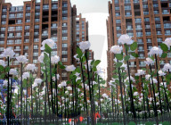 FEATURE - China: 9999 leuchtende weisse Rosen in Shenyang