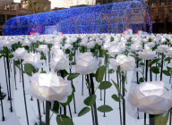 FEATURE - China: 9999 leuchtende weisse Rosen in Shenyang