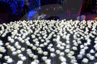 FEATURE - China: 9999 leuchtende weisse Rosen in Shenyang