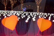 FEATURE - China: 9999 leuchtende weisse Rosen in Shenyang