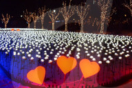 FEATURE - China: 9999 leuchtende weisse Rosen in Shenyang
