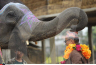 FEATURE - Nepal: Elefantenfestival in Sauhara