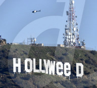 FEATURE - Hollywood wird zu Hollyweed