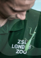 FEATURE - Alljährliche Inventur im Londoner Zoo