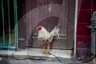 REPORTAGE - Reiseimpressionen aus der Kuba