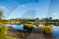 REPORTAGE - Die Isles of Scilly (Reisen)