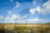 REPORTAGE - Die Isles of Scilly (Reisen)