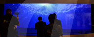 NEWS - Las Vegas: Sony mit neuen Gadgets an der CES