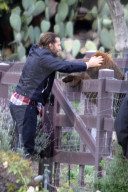 PEOPLE - Bradley Cooper stoppt schnell bei Lady Gaga's Hunden