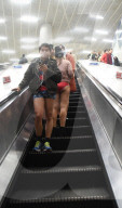 FEATURE - No Pants Day: Die Welt ohne Hose