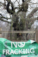 Anti-fracking protest, Sherwood Forest, UK - 07 Jan 2017