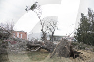 NEWS - Windsturm in Colorado Springs reisst Bäume aus