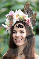 FEATURE - Schmetterlinge: Ein lebendiger Kopfschmuck