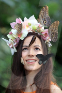 FEATURE - Schmetterlinge: Ein lebendiger Kopfschmuck