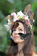 FEATURE - Schmetterlinge: Ein lebendiger Kopfschmuck