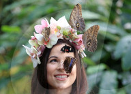 FEATURE - Schmetterlinge: Ein lebendiger Kopfschmuck