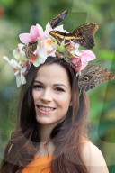 FEATURE - Schmetterlinge: Ein lebendiger Kopfschmuck