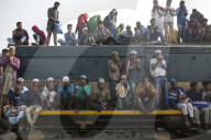 NEWS - Bangladesh: Muslime pilgern nach Tongi