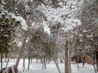 FEATURE - Schnee in der Sahara
