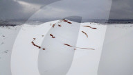FEATURE - Schnee in der Sahara