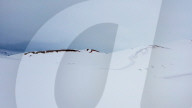 FEATURE - Schnee in der Sahara