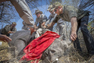 PEOPLE - Prinz Harry zu Besuch in Botswana