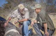 PEOPLE - Prinz Harry zu Besuch in Botswana