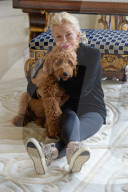 NEWS - Patton der Goldendoodle ist auserwählter "First Dog" von Amerika