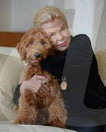 NEWS - Patton der Goldendoodle ist auserwählter "First Dog" von Amerika