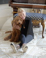 NEWS - Patton der Goldendoodle ist auserwählter "First Dog" von Amerika