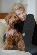 NEWS - Patton der Goldendoodle ist auserwählter "First Dog" von Amerika