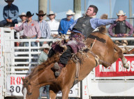 FEATURE - Rodeo Meisterschaft in Homestead