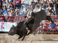 FEATURE - Rodeo Meisterschaft in Homestead