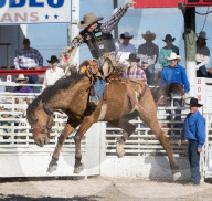 FEATURE - Rodeo Meisterschaft in Homestead