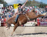 FEATURE - Rodeo Meisterschaft in Homestead