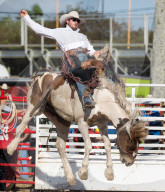 FEATURE - Rodeo Meisterschaft in Homestead