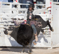 FEATURE - Rodeo Meisterschaft in Homestead