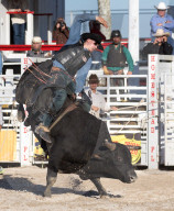 FEATURE - Rodeo Meisterschaft in Homestead